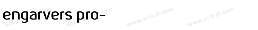 engarvers pro字体转换